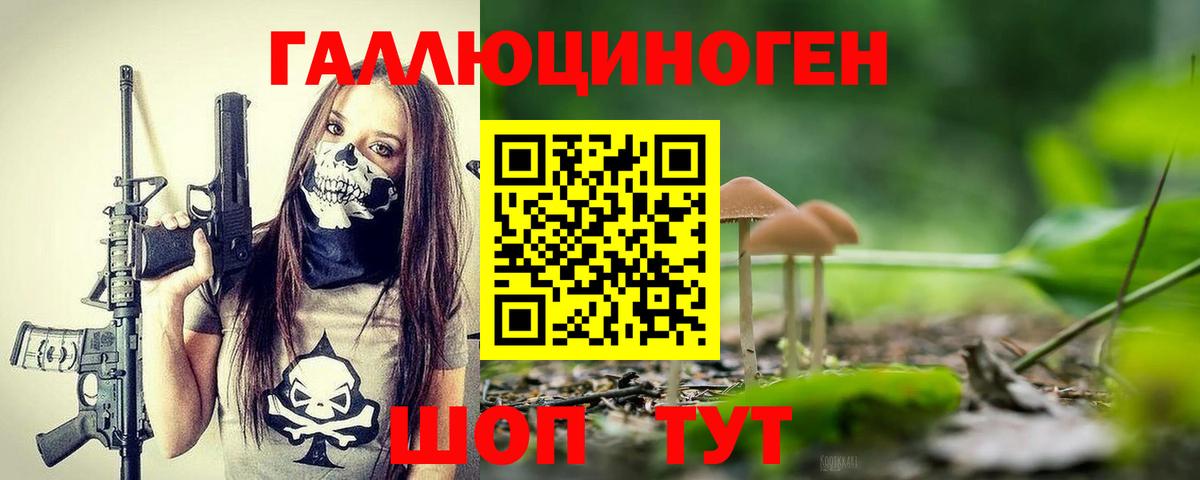 Псилоцибиновые грибы Cubensis  Вход с VPN  Псилоцибиновые грибы Cubensis  Подольск 